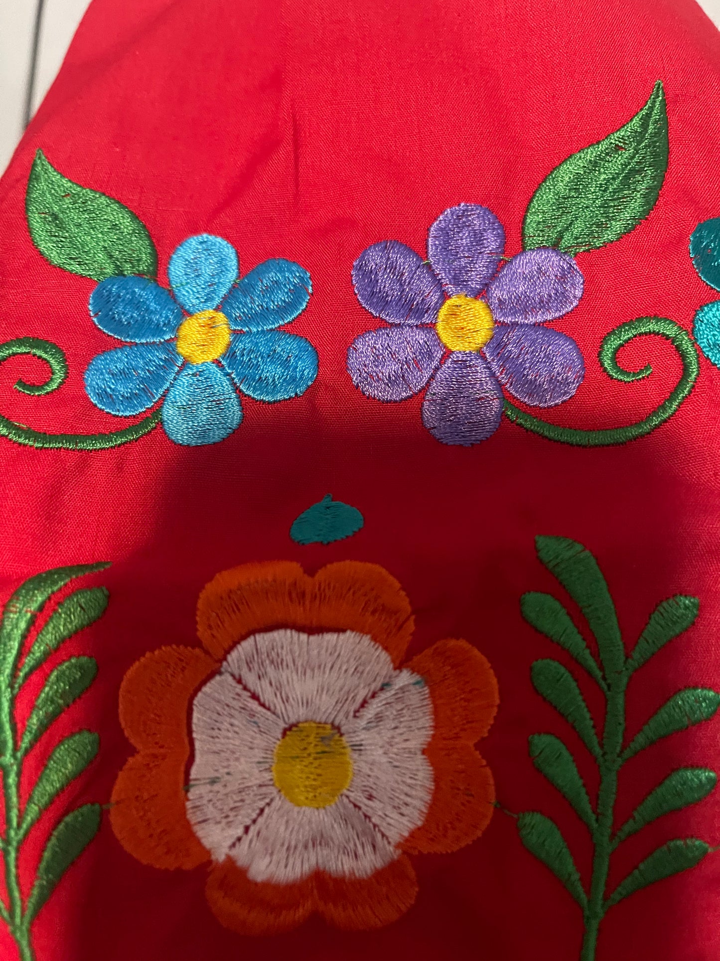 Princesa Embroidery girl Dress