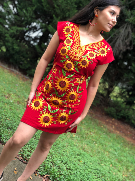 Marisol Kimono Embroidered Dress